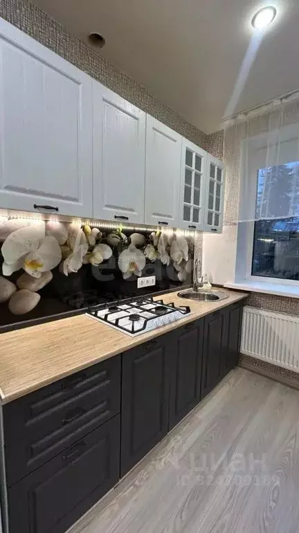 Студия Ленинградская область, Всеволожск Баркановская ул., 94 (33.0 м) - Фото 1