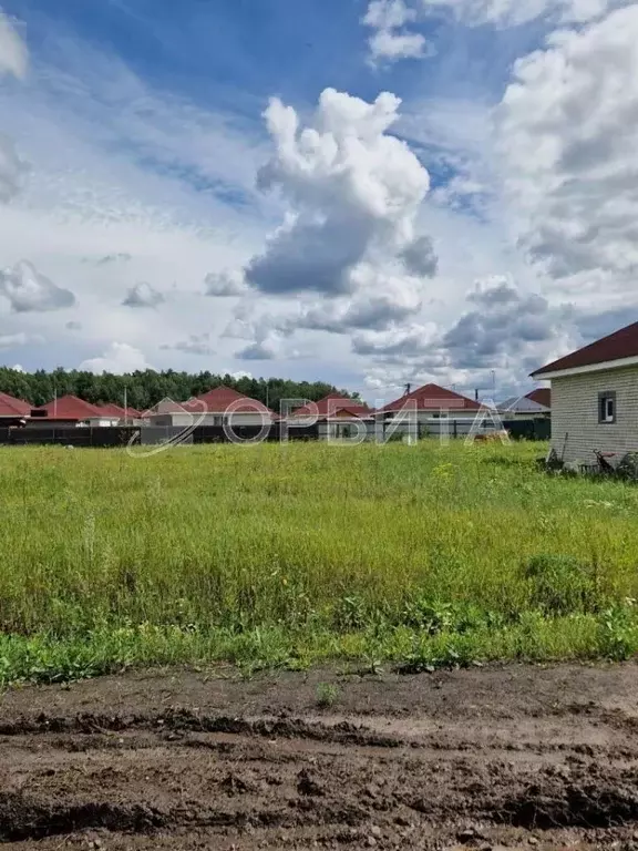 Участок в Тюменская область, Тюменский муниципальный округ, с. ... - Фото 1