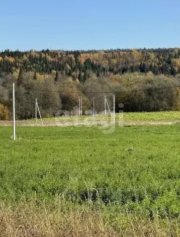 Участок в Пермский край, Пермский муниципальный округ, Полюдовский ... - Фото 0