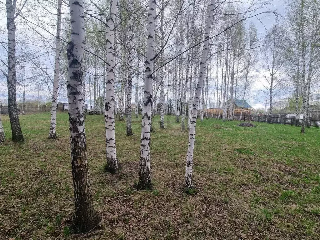 Участок в Кемеровская область, Кемеровский район, с. Андреевка ул. ... - Фото 0
