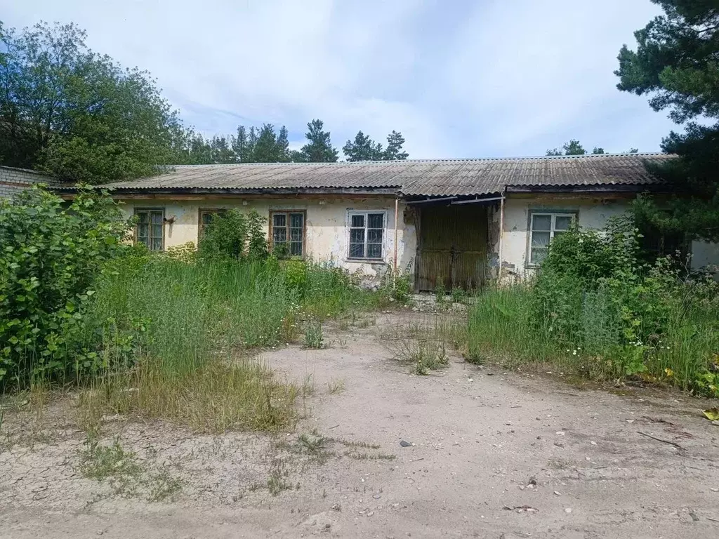 Помещение свободного назначения в Ульяновская область, Димитровград ... - Фото 1