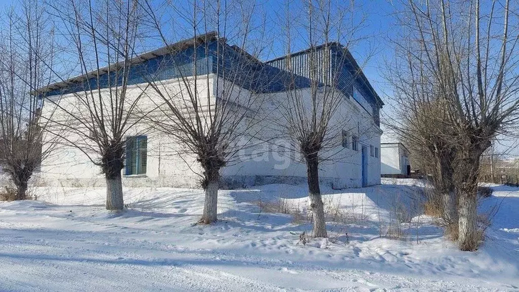 Офис в Забайкальский край, Шилкинский район, Первомайский пгт ул. ... - Фото 1