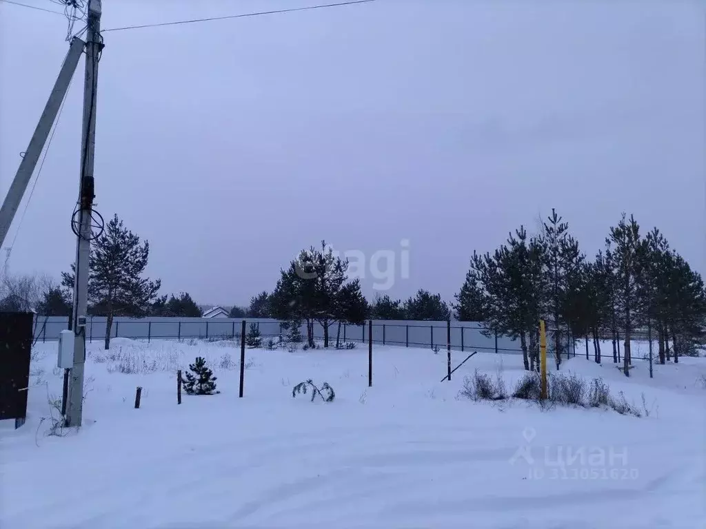 Участок в Владимирская область, Муромский район, д. Александровка ... - Фото 1