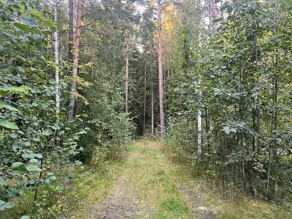 Участок в Санкт-Петербург пос. Солнечное, Вокзальная ул., 16 (40.0 ... - Фото 0