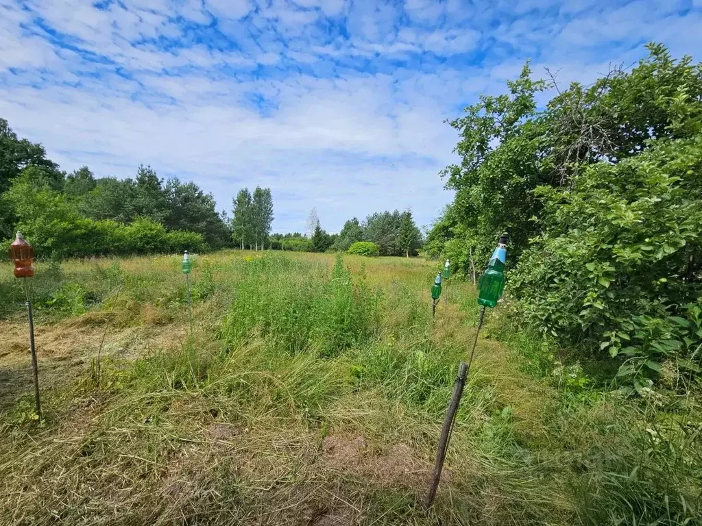 Дом в Новгородская область, Старорусский муниципальный округ, д. ... - Фото 2
