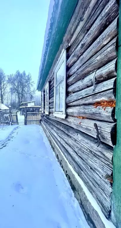 Дом в Псковская область, Островский район, Бережанская волость, д. ... - Фото 1