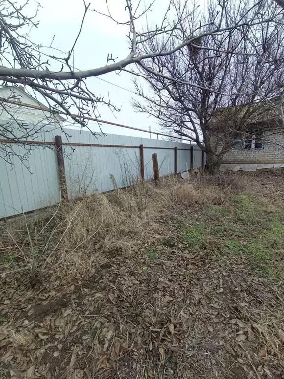 Участок в Волгоградская область, Среднеахтубинский район, Куйбышевское ... - Фото 2