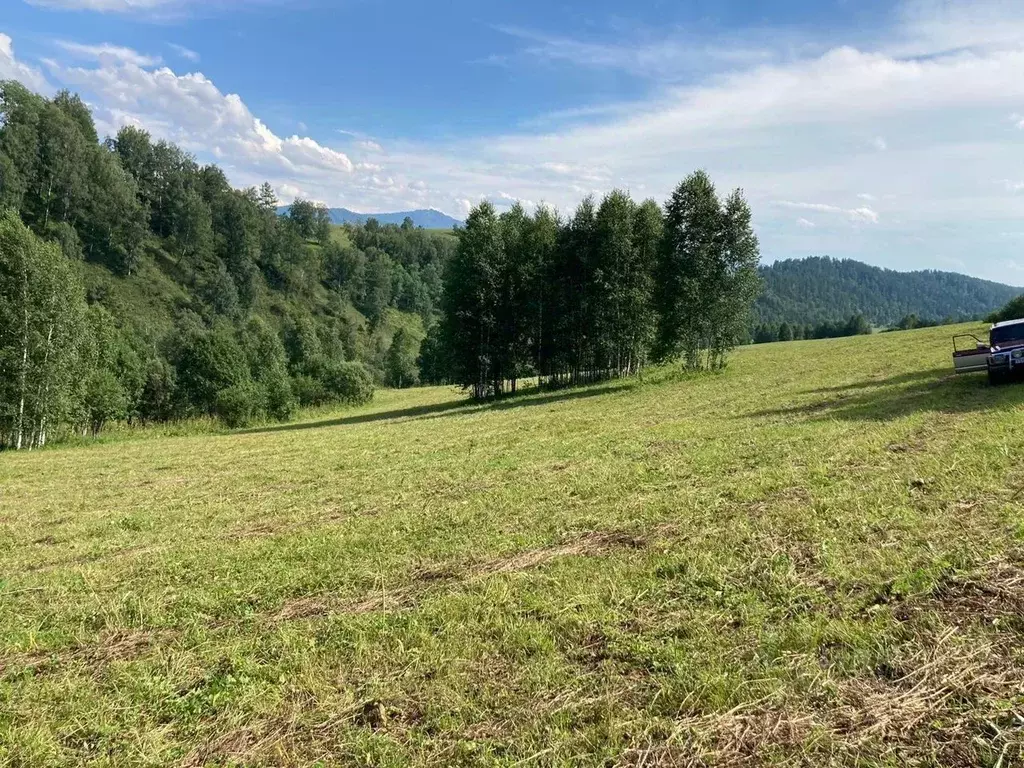 Участок в Алтай, Чемальский район, с. Бешпельтир  (1.6 сот.) - Фото 0