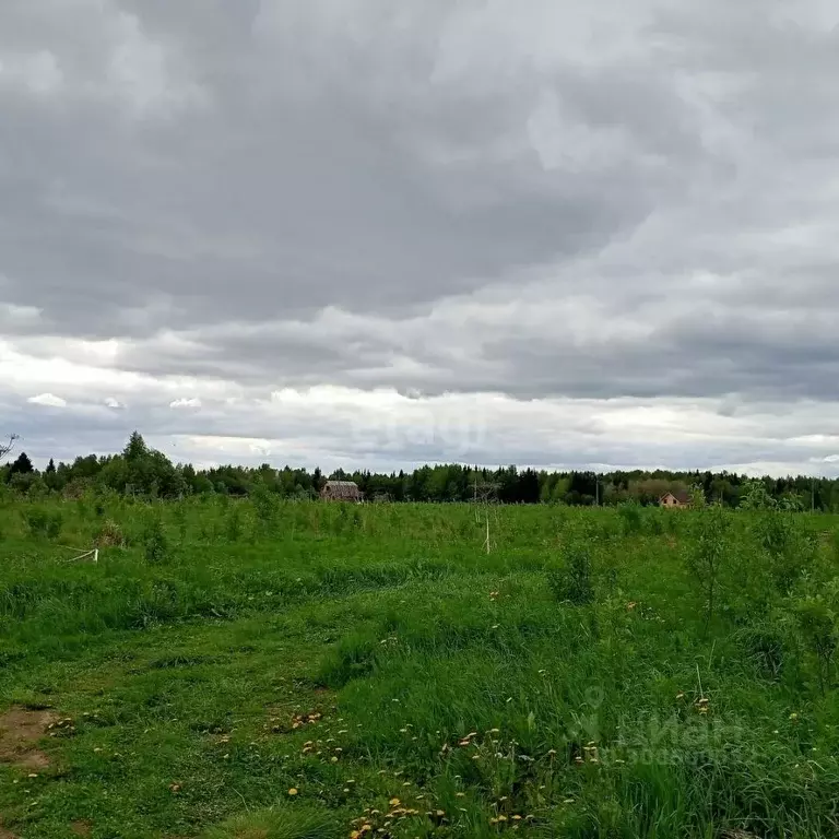 Участок в Коми, Сыктывдинский район, с. Выльгорт  (33.0 сот.) - Фото 0