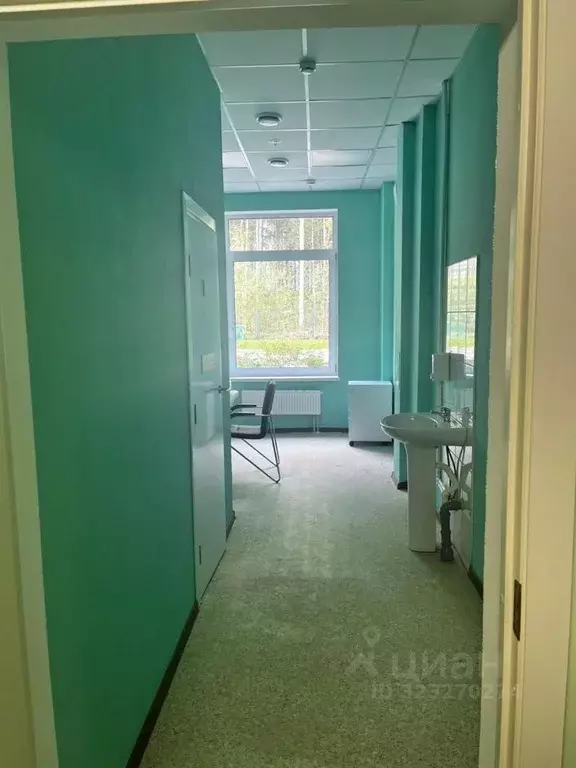 Помещение свободного назначения в Ленинградская область, Кингисепп ул. ... - Фото 2