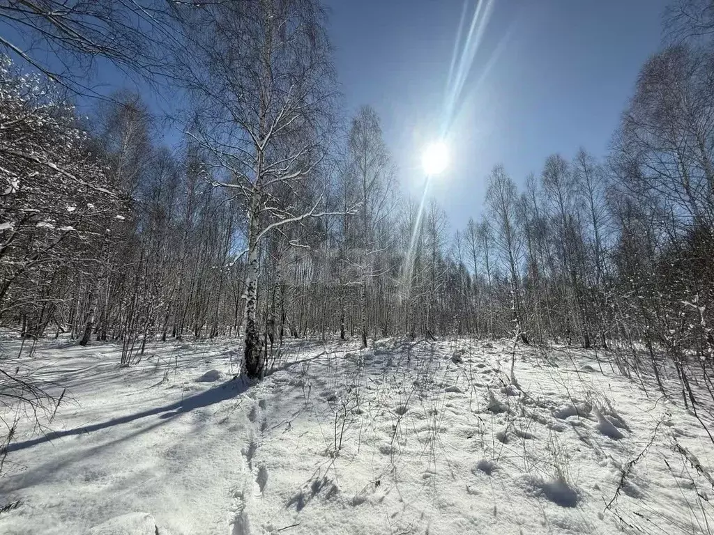 Участок в Тульская область, Тула городской округ, д. Комаревка  (13.5 ... - Фото 1