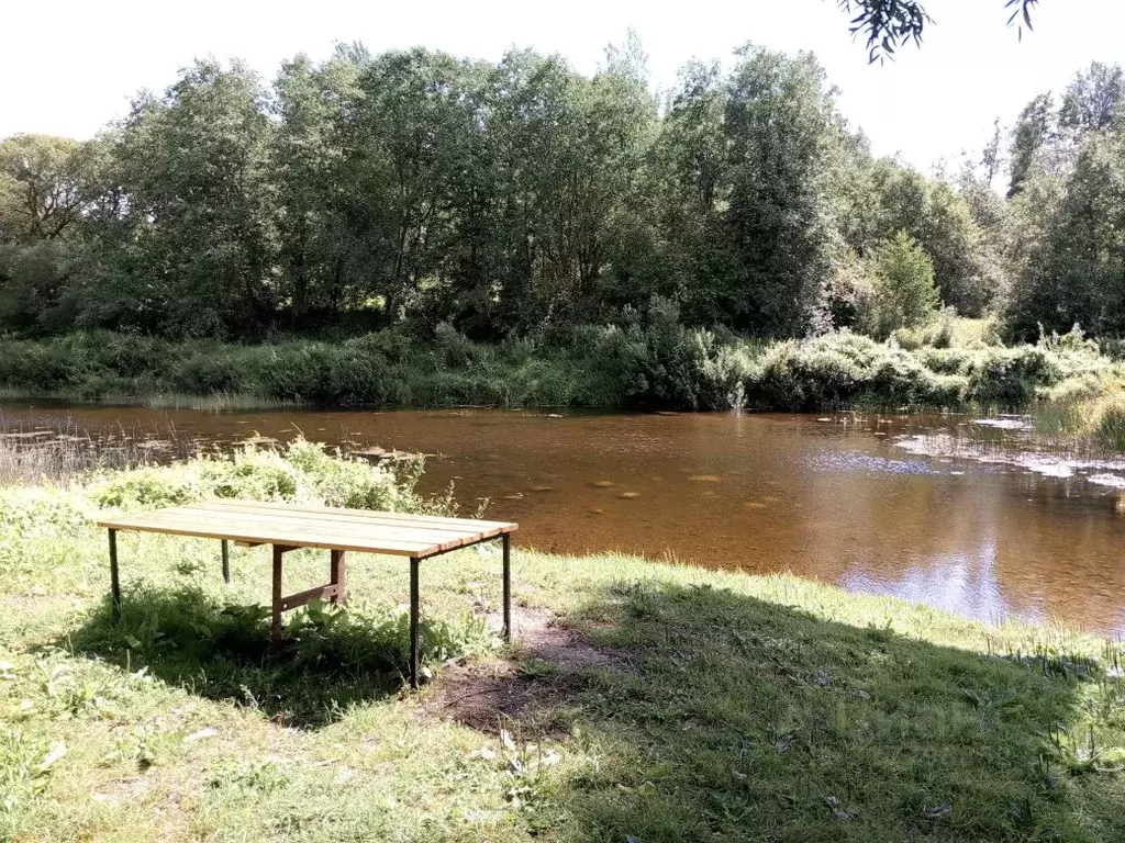 Дом в Псковская область, Псковский район, Ядровская волость, Череха-2 ... - Фото 1
