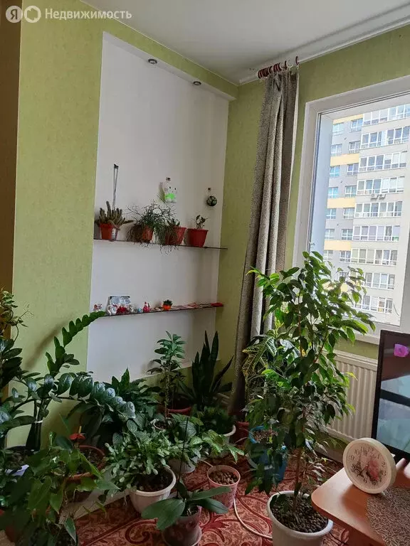 1-комнатная квартира: Барнаул, Взлётная улица, 46 (26.5 м) - Фото 1
