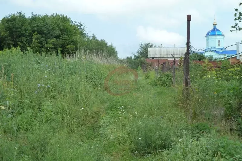 Участок в Воронежская область, Новоусманский район, с. Горки ул. ... - Фото 0