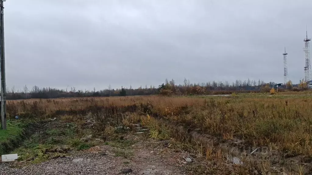 Участок в Новгородская область, Новгородский район, Ермолинское с/пос, ... - Фото 1