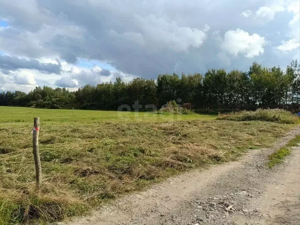 Участок в Ярославская область, Ярославский муниципальный округ, с. ... - Фото 1