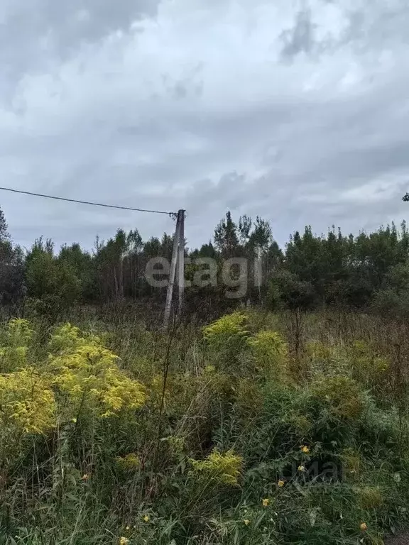 Участок в Кемеровская область, Новокузнецкий муниципальный округ, пос. ... - Фото 0