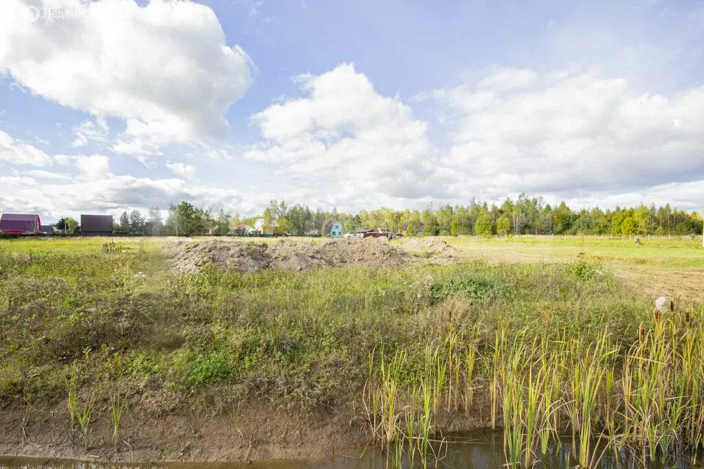 Участок в Калужская область, Боровский муниципальный округ, деревня ... - Фото 2