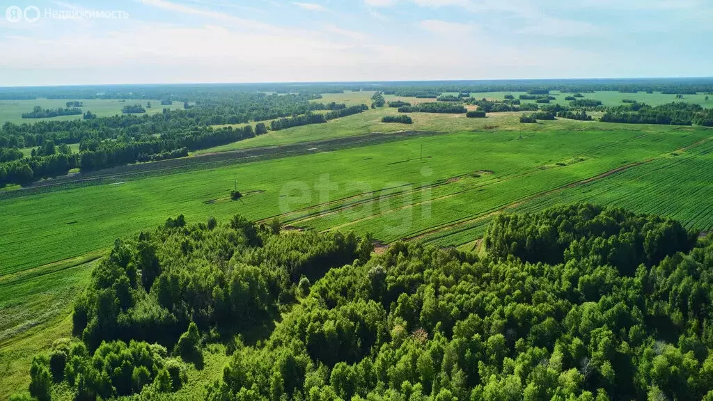 Участок в Томский район, деревня Коломино, Лесная улица (12.71 м) - Фото 2