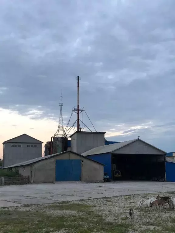 Производственное помещение в Тульская область, Веневский район, ... - Фото 0