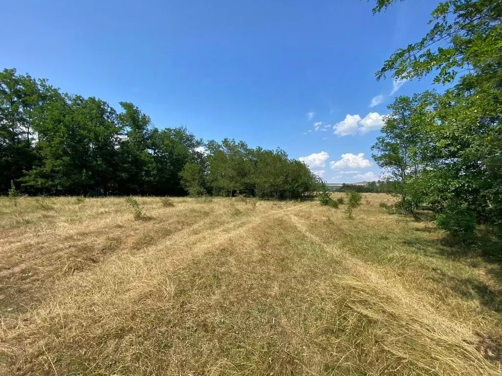 Участок в Краснодарский край, Лабинский район, Зассовское с/пос, ... - Фото 2