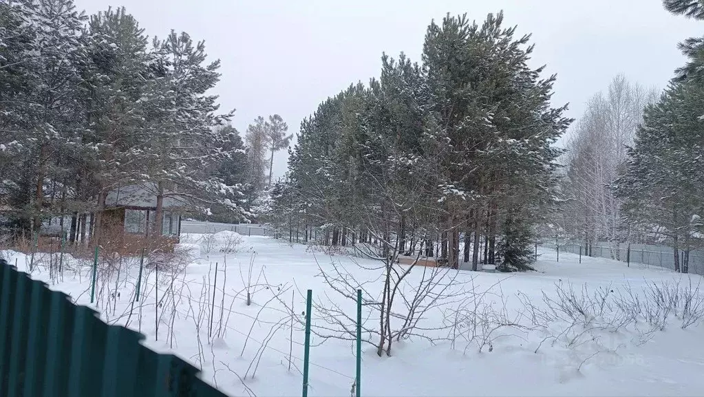 Участок в Томская область, Томский район, с. Курлек, Северный мкр  ... - Фото 2