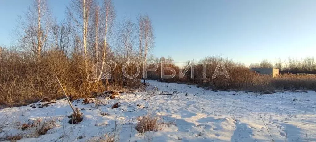 Участок в Тюменская область, Тюмень Поле Чудес садовое товарищество, ... - Фото 0