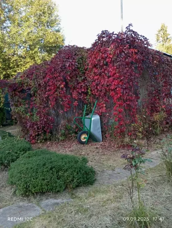 Дом в Московская область, Волоколамский муниципальный округ, д. ... - Фото 2