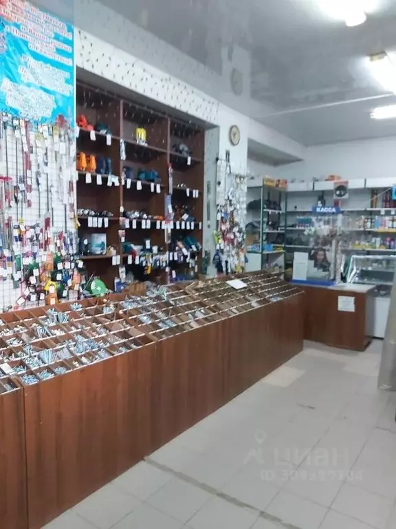 Помещение свободного назначения в Ивановская область, Родники ул. ... - Фото 1