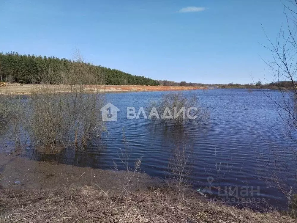 Участок в Владимирская область, Ковровский муниципальный округ, д. ... - Фото 2