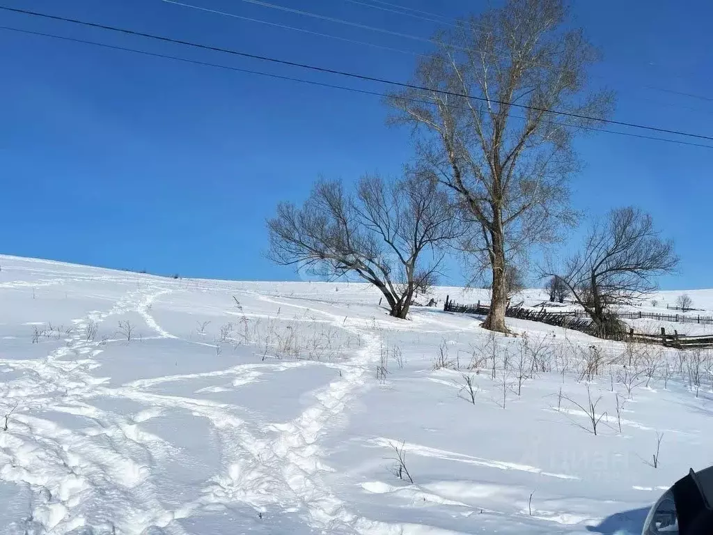 Участок в Алтай, Горно-Алтайск Алтайская ул. (20.0 сот.) - Фото 1