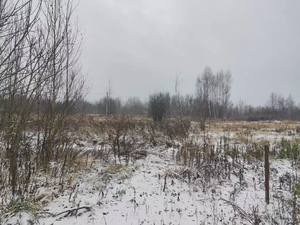 Участок в Московская область, Ликино-Дулево Орехово-Зуевский городской ... - Фото 1