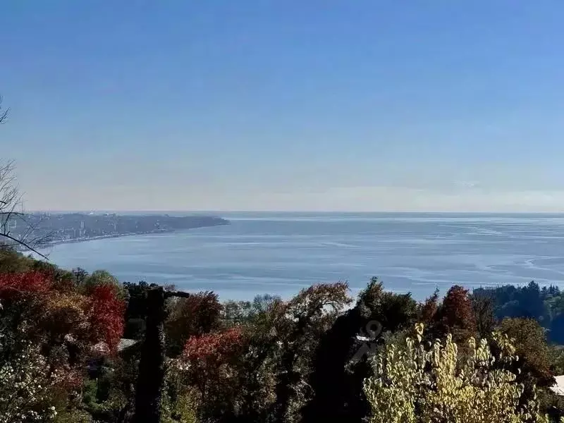 Дом в Краснодарский край, Сочи ул. Ручей Видный, 82 (331 м) - Фото 2