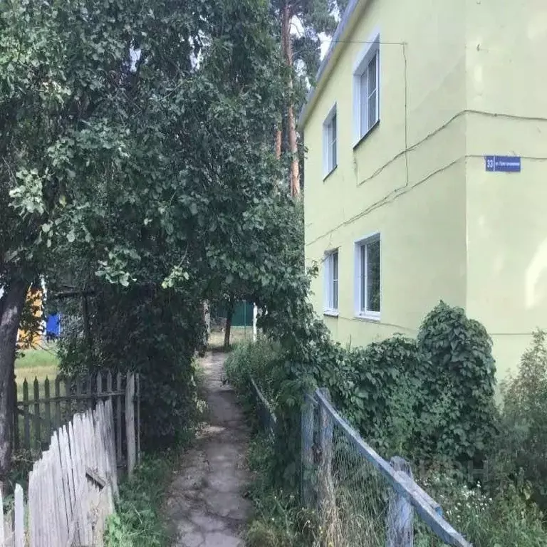 3-к кв. Воронежская область, Рамонское городское поселение, пос. Бор ... - Фото 1