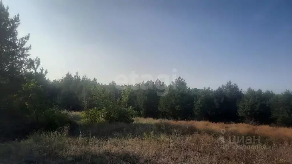 Участок в Саратовская область, Балашовский район, Большемеликское ... - Фото 2