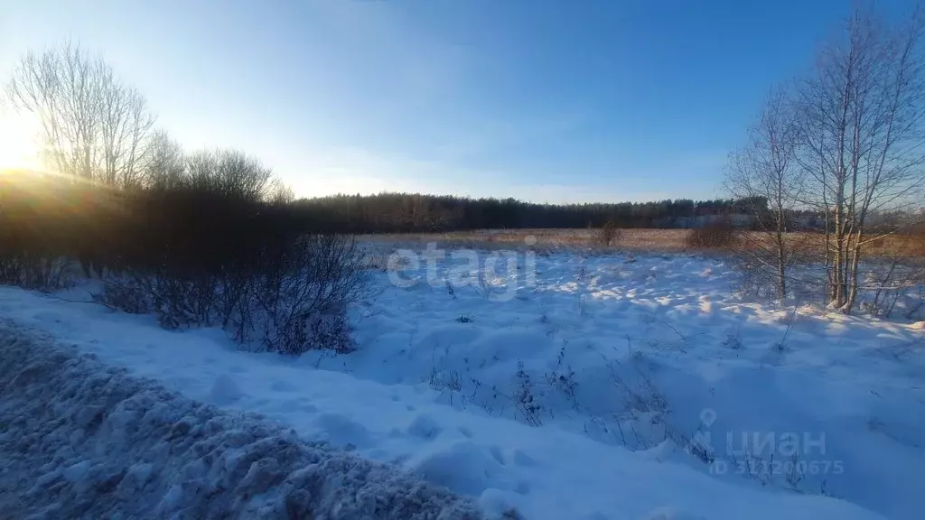 Участок в Псковская область, Островский район, Бережанская волость, д. ... - Фото 0