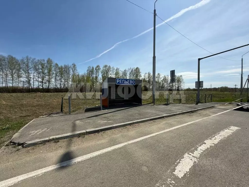 Участок в Новосибирская область, Тогучинский район, Репьевский ... - Фото 1