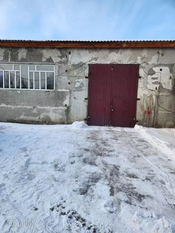 Помещение свободного назначения в Алтайский край, Барнаул городской ... - Фото 1