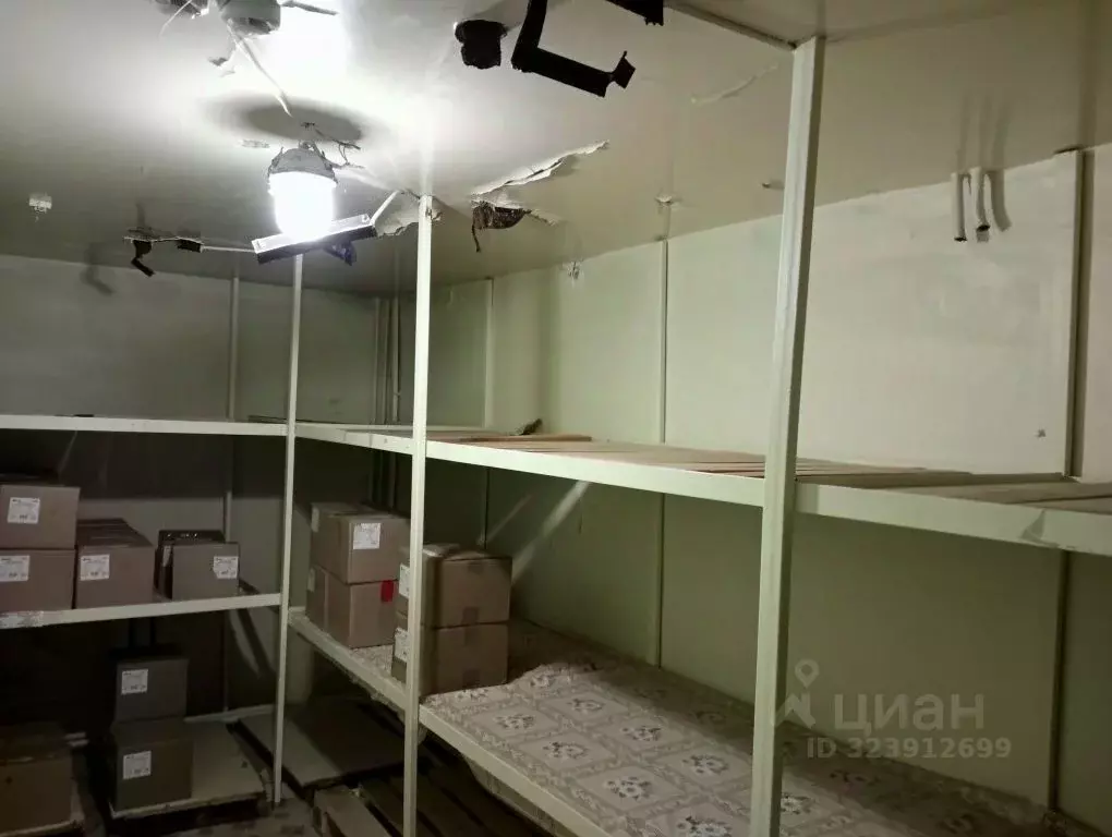 Помещение свободного назначения в Иркутская область, Братск бул. ... - Фото 2