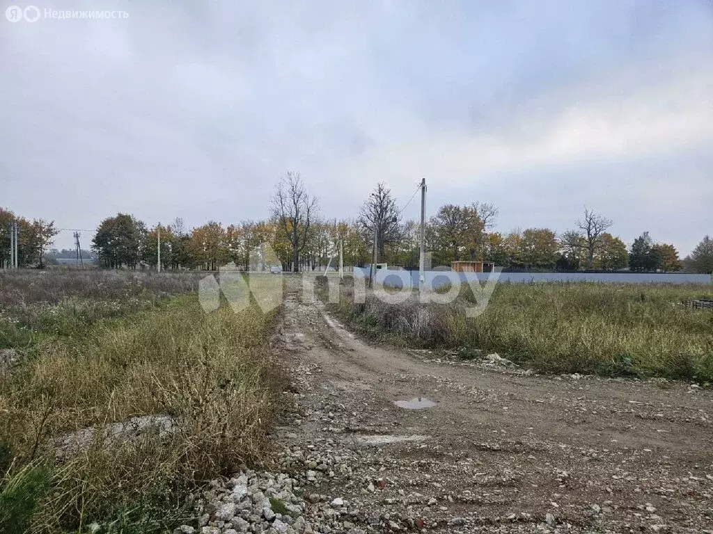 Участок в Калининградская область, Гурьевский муниципальный округ, ... - Фото 2