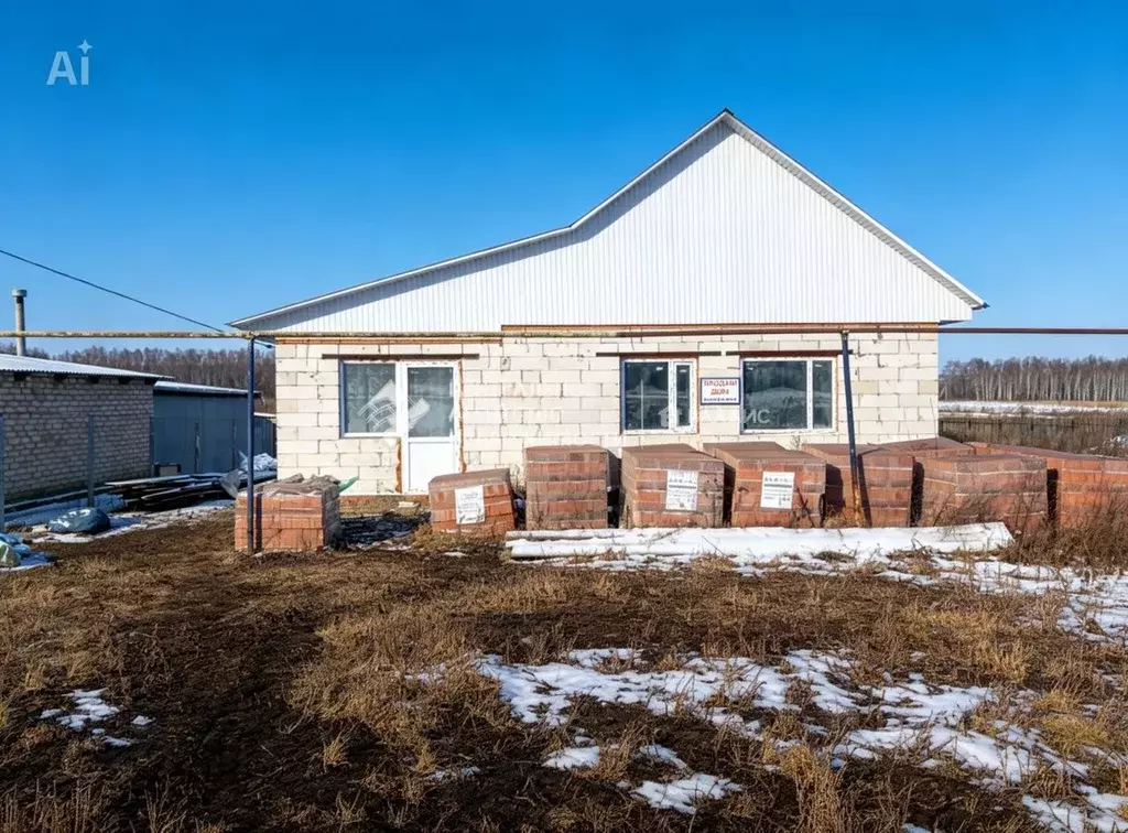 Дом в Рязанская область, Скопинский муниципальный округ, пос. Большак ... - Фото 1