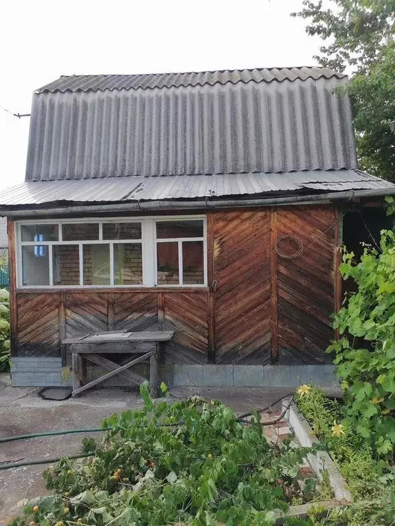 Дом в Самарская область, Тольятти Водник СТ,  (27 м) - Фото 2