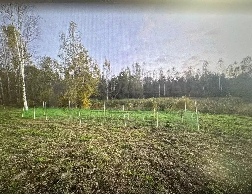 Участок в Новгородская область, Новгородский район, Савинское с/пос, ... - Фото 2