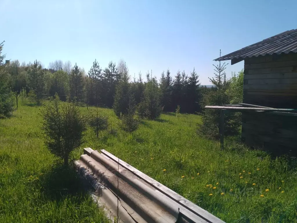 Участок в Пермский край, пос. Ильинский пер. Еловый, 18 (20.0 сот.) - Фото 1