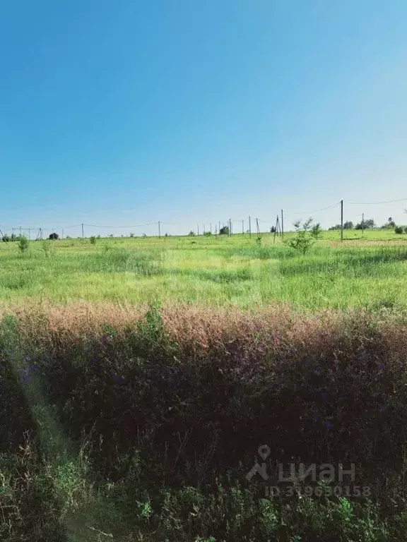 Участок в Саратовская область, Балашовский район, Хоперское ... - Фото 1