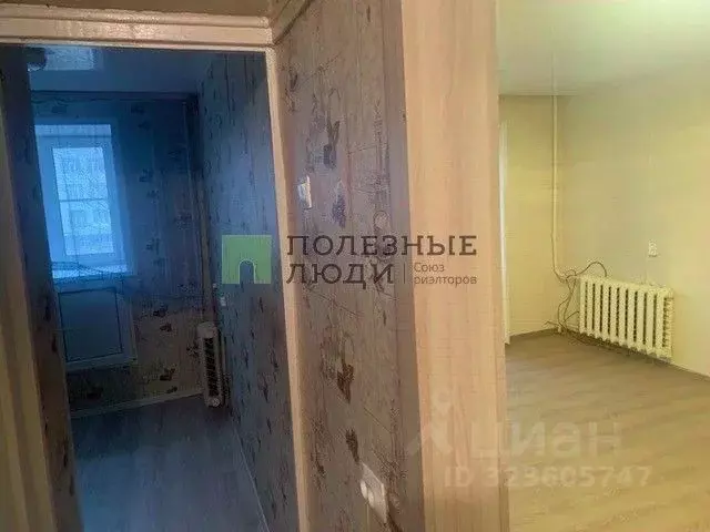 1-к кв. Курганская область, Курган Советская ул., 196 (30.7 м) - Фото 1