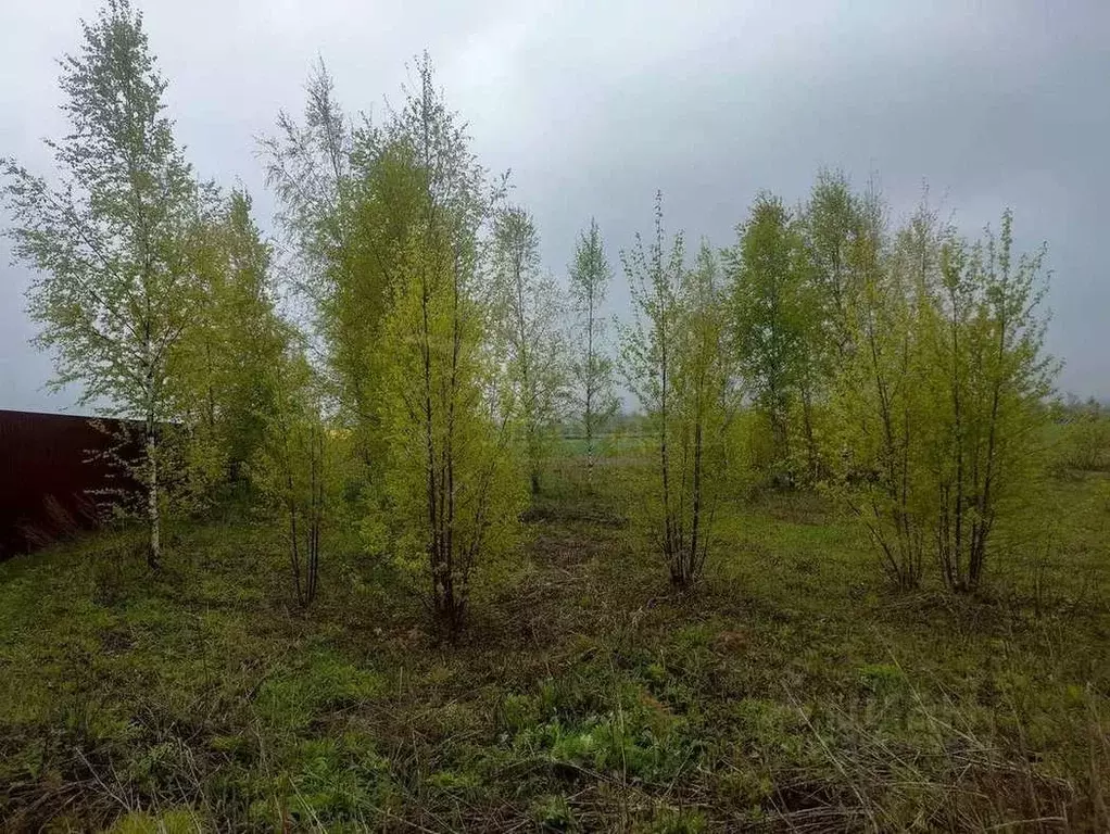 Участок в Новгородская область, Новгородский район, Бронницкое с/пос, ... - Фото 0