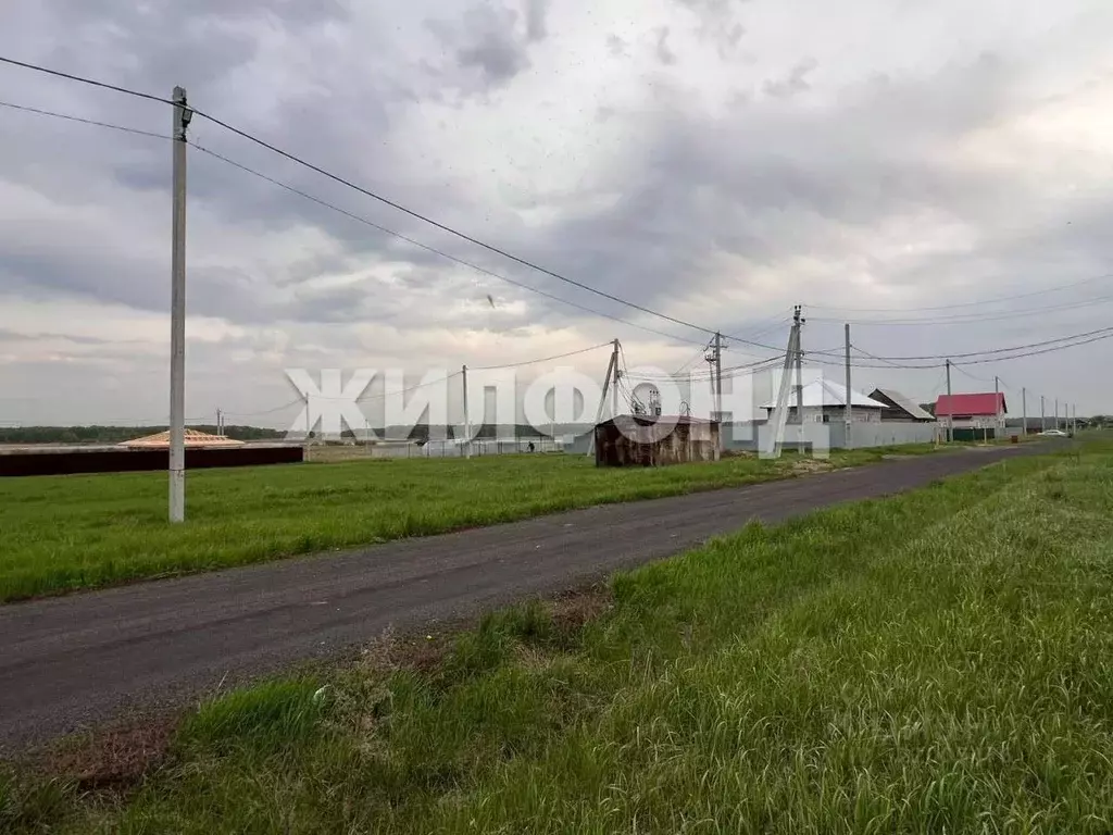 Участок в Новосибирская область, Ордынский район, с. Новопичугово ... - Фото 1