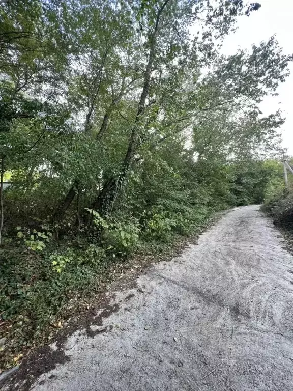 Участок в Краснодарский край, Новороссийск городской округ, с. Широкая ... - Фото 2