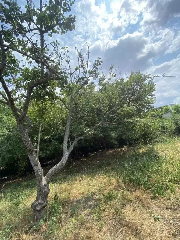 Участок в Краснодарский край, Анапа муниципальный округ, с. Супсех ул. ... - Фото 0